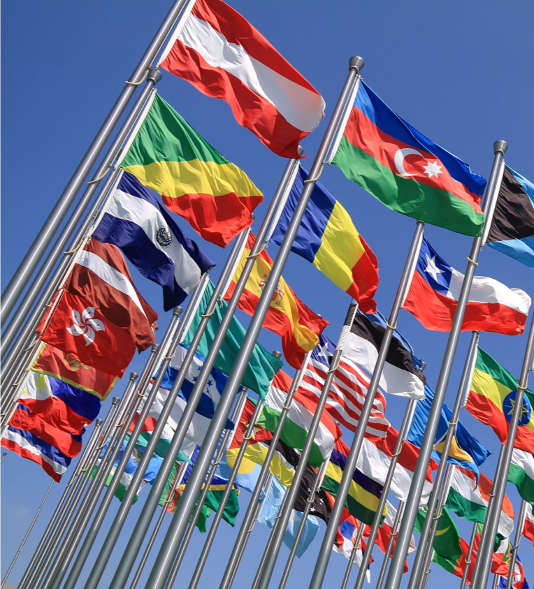 Peaceful lakeside landscape